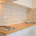 Milas تروغير